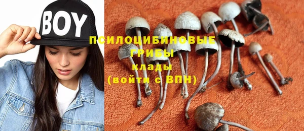 каннабис Белокуриха