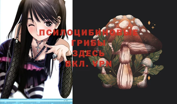 амф Беломорск
